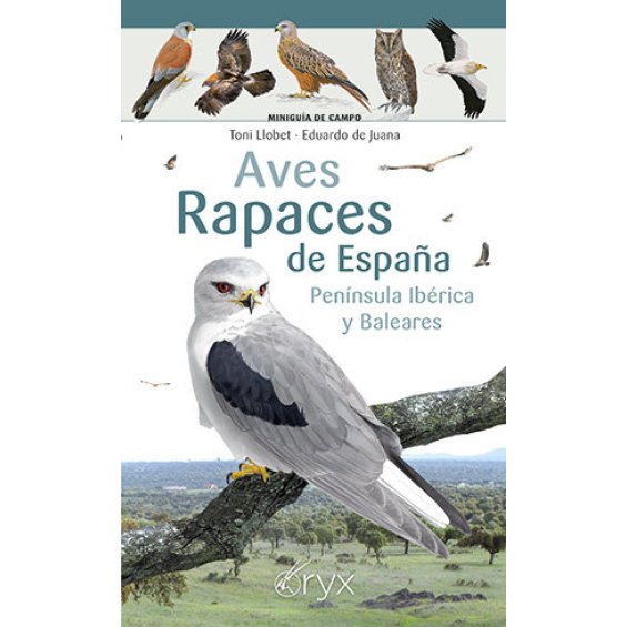 Aves rapaces de España Península Ibérica y Baleares