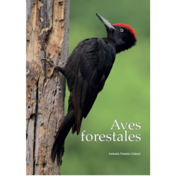 Aves forestales