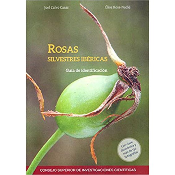 Rosas silvestres ibéricas: guía de identificación