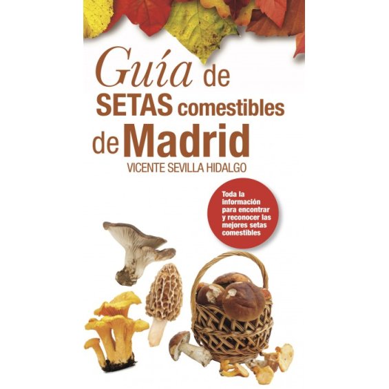 Guía de setas comestibles de Madrid