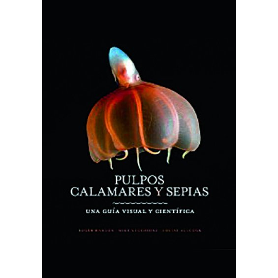 Pulpos, Calamares y Sepias