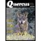 Quercus 485