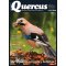 Quercus 462