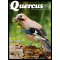 Quercus 462