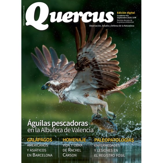 Quercus 415 Digital PDF