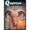 Quercus 484