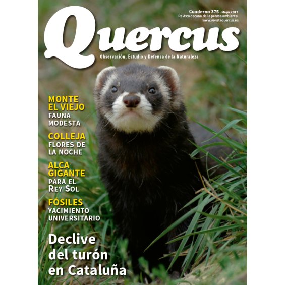Revista Quercus 375