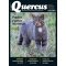 Quercus 471
